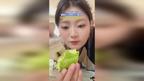 娱乐吃瓜酱卖茶女主,揭秘娱乐吃瓜酱卖茶女主的传奇人生