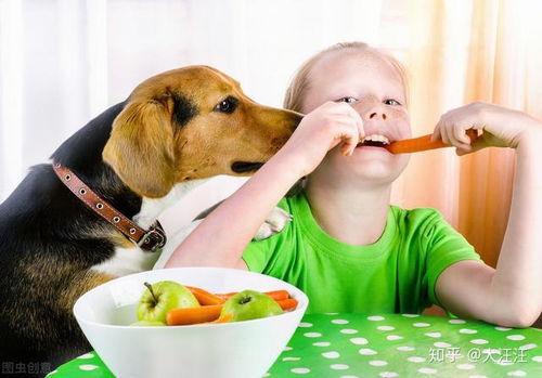 娱乐吃瓜菌狗狗