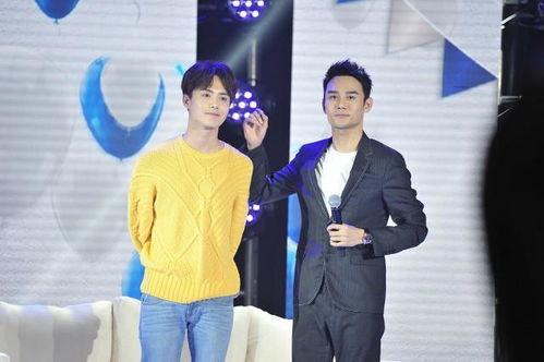 娱乐圈吃瓜总结赵薇,娱乐圈风云变幻中的璀璨明星