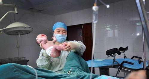 娱乐吃瓜酱吃软不吃硬,娱乐吃瓜酱的独到品味