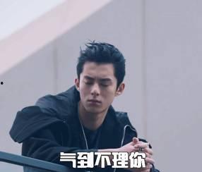 吃瓜娱乐王鹤棣,吃瓜娱乐界的“瓜王”崛起之路